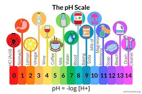 1. 10+ Facts About Lumen Acidity: Essential Ph Insights