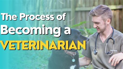 1. 12 Steps To Becoming A Veterinarian: The Ultimate Guide