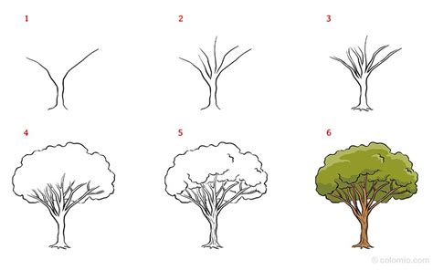 1. Design Your Ultimate Oil Tree In 10 Easy Steps