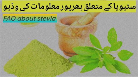 1. Unlocking The Ultimate Stevia Sweetener Experience