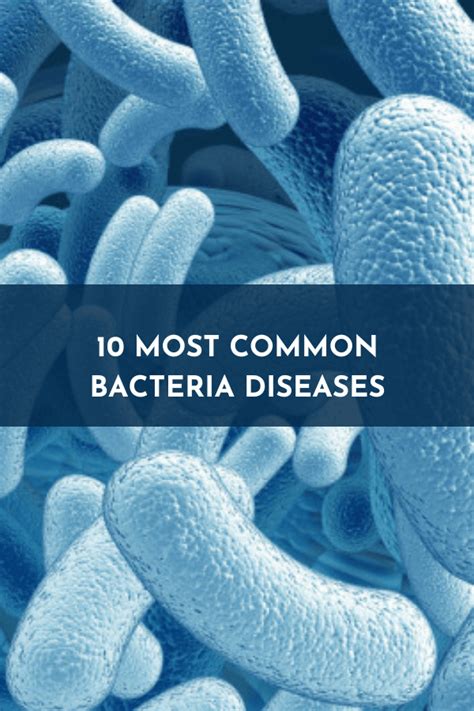 10 Diseases Caused By Bacteria: The Ultimate Guide