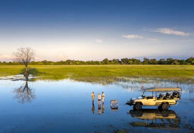 10 Reasons To Visit Okavango Delta In Botswana In 2024 African Safari