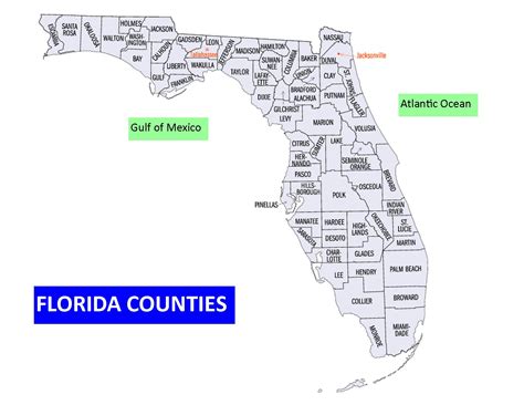 10 Tampa Facts: The Essential Guide To Florida's Counties