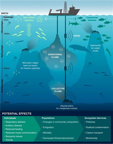 10 Undersea Mining Pros The Ultimate Guide To Success Perfil Del