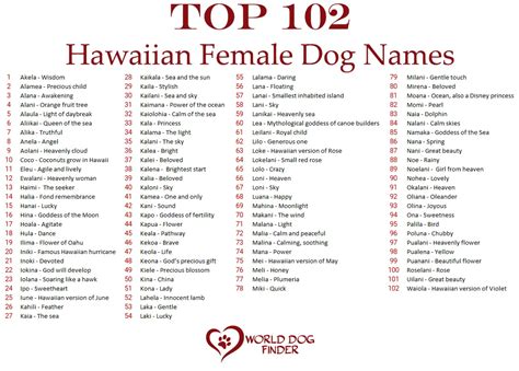 Hawaiian Female Dog Names - Alert Data