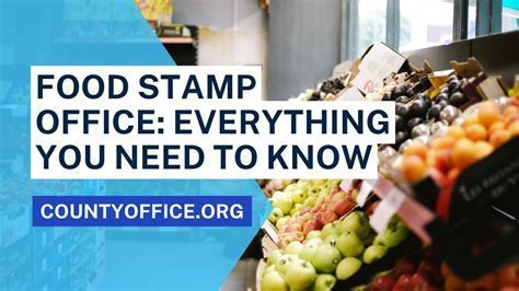 15+ Gainesville Food Stamp Resources: The Ultimate Guide