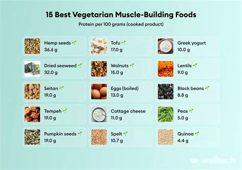 15 Top Vegan Protein Sources: The Ultimate Guide To Building Muscle