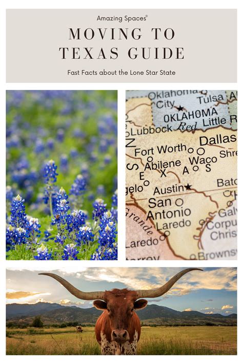 17 Texas Zip Codes: The Ultimate Guide To Navigating The Lone Star State