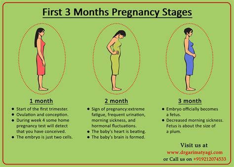 1St Month Of Pregnancy