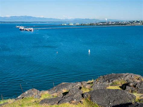 27 Best Fun Things To Do In Anacortes