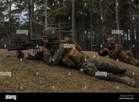 2Nd Light Armored Reconnaissance Battalion High Resolution Stock