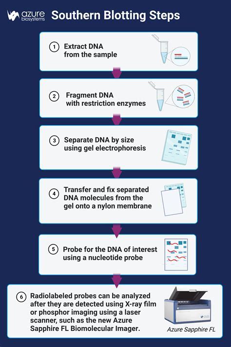 3. Design Your Nhm Molecular Biology Expertise: 10 Steps Now