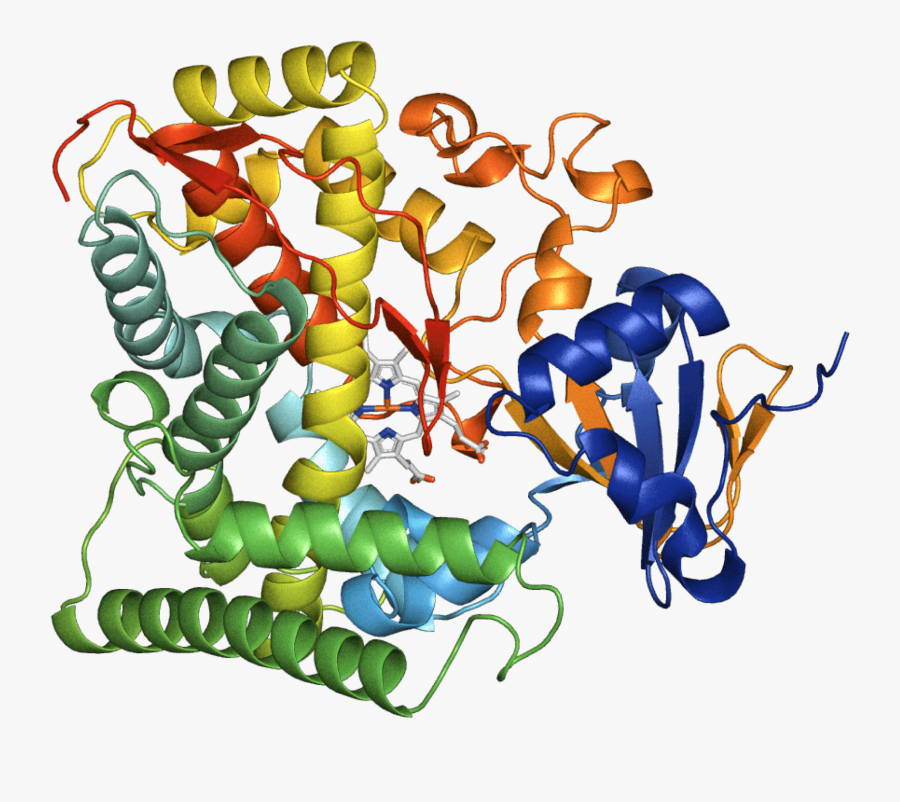 3. Pro Tips: 5 Ways To Master Protein Illustration Today