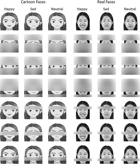 3D Face Identification Pdf