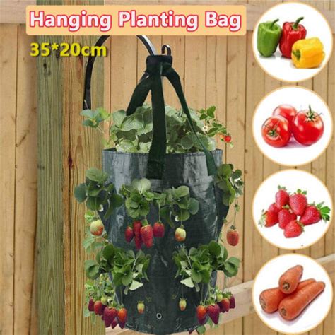 3Gallon Planting Bags Wall Hanging Pocket Strawberry Potato Plant