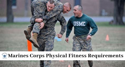 5 Essential Physical Requirements For Marine Males: The Ultimate Guide