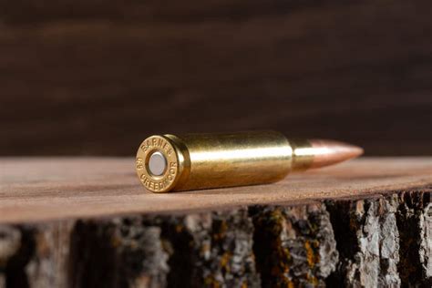 6 5 Creedmoor A Complete Profile With Pros And Cons Backfire