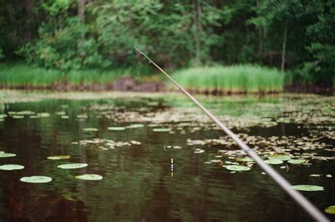 7 Ultimate Tips To Design The Perfect Fishing Spot Today Vexl Trezor