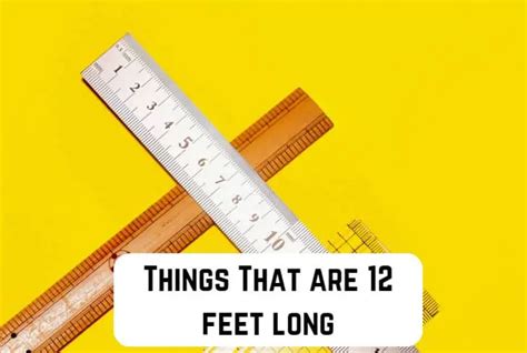 9 Common Things That Are 12 Feet Long With Pictures Measuringly