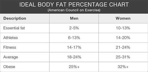 A Beginner S Guide To Body Composition 20 Fit