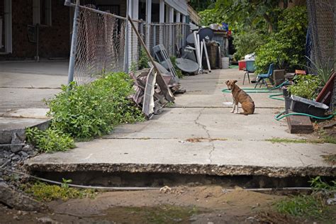 A New Orleans East Community Is Sinking With Residents Left To Fix The