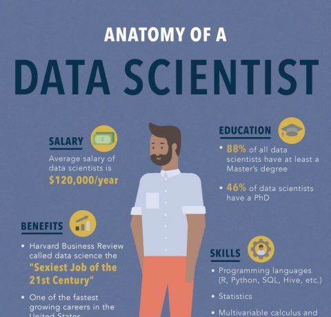 Anatomy Of A Data Scientist Infographic E Learning Infographics