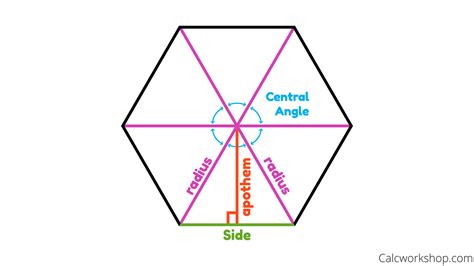 Area Of A Regular Polygon 17 Step By Step Examples