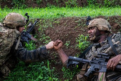 Army Reserve Infantry Unit Participates In Joint Pacific Multinational