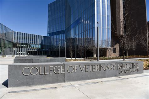 At Zoo University Cornell Veterinary College Students Gain Hands On