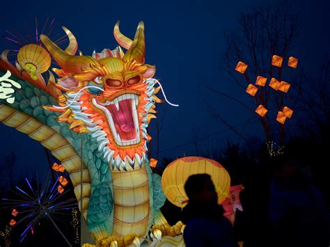 Auspicious But Unlucky The Perils Of A Lunar New Year Dragon Baby Boom