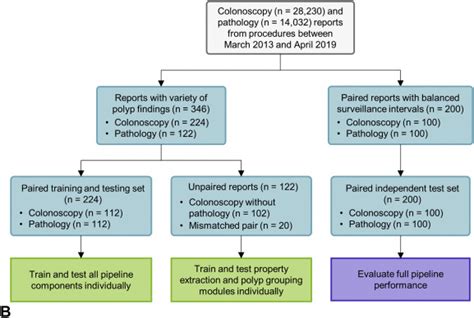 Automated Identification And Assignment Of Colonoscopy Surveillance