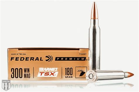 Best 300 Win Mag Ammo Recommended By Experts At Ammo Com