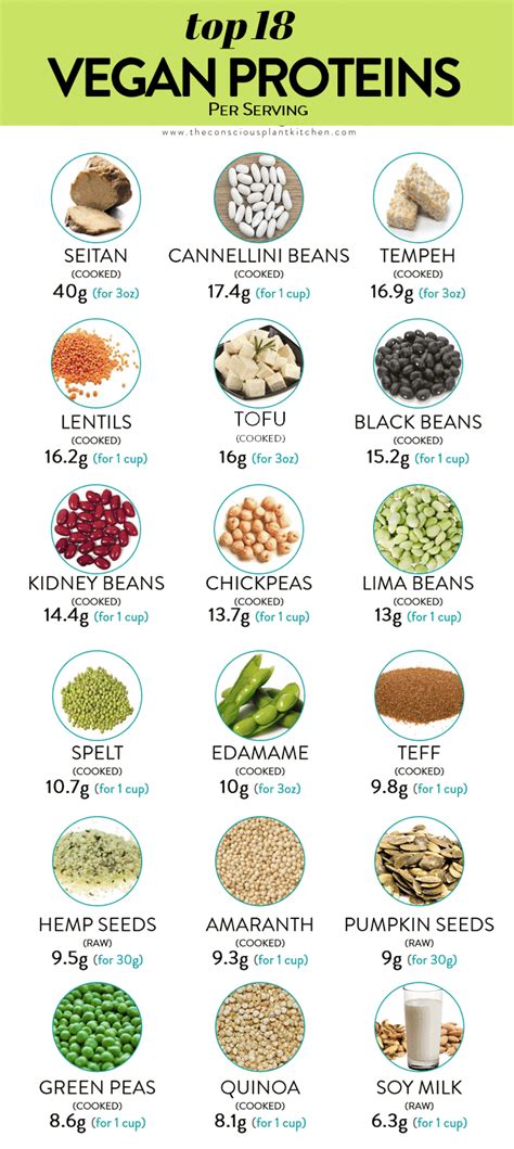 Best Vegan Protein Sources The Conscious Plant Kitchen