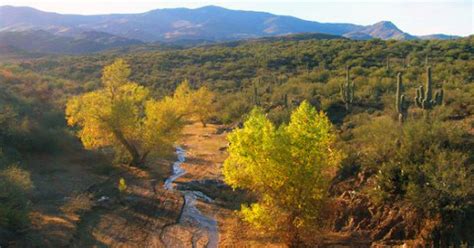 Black Canyon City Az