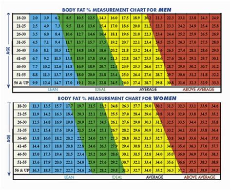 Bmi Army Chart Army Weight Chart Table Body Fat Tape Premium Templates