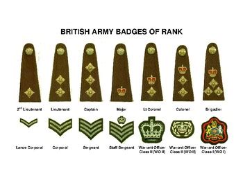 British Army Badges Of Rank By Strategic Study Skills Tpt