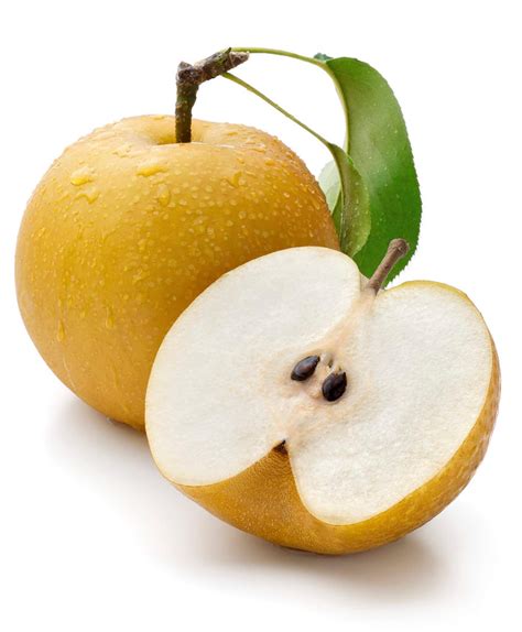 Buy Asian Pear 10 Chinese Sand Pear Pyrus Pyrifolia Edible Fruit