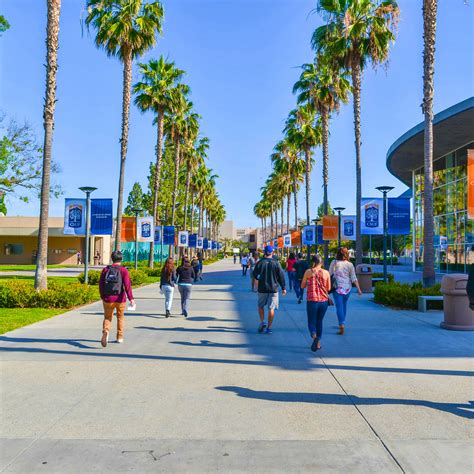 Cal State Fullerton Acceptance Rate 2024 Lanny Modesty