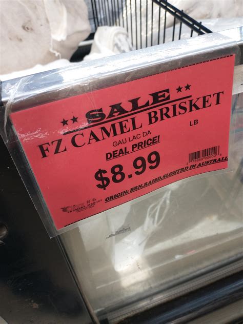 Camel Brisket Pricing R Smoking