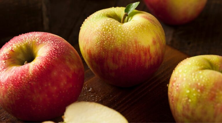 Carbs In Honeycrisp Apple