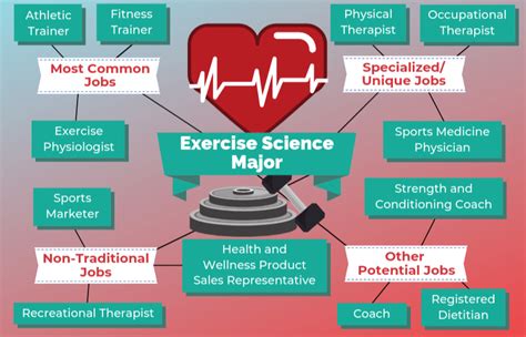 Career Paths In Exercise Science Exploring The Opportunities The