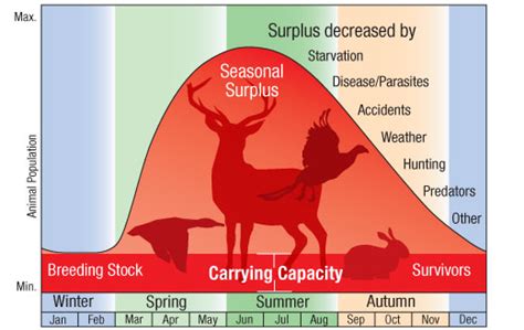 Carrying Capacity Michigan Bowhunting License Study Guide For Online