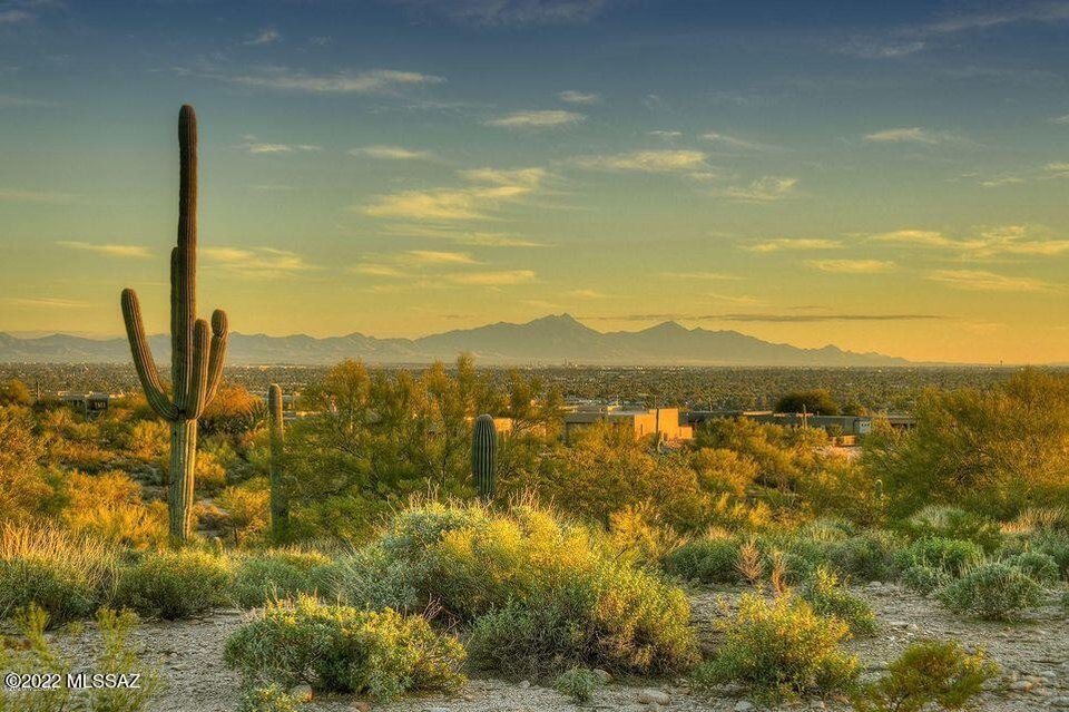 Catalina Foothills Estates Tucson Az Real Estate Homes For Sale