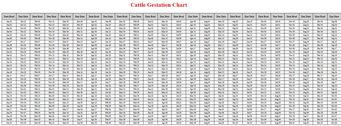 Cattle Gestation Period Table Infoupdate Org