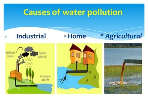 Causes Of Water Pollution Riset