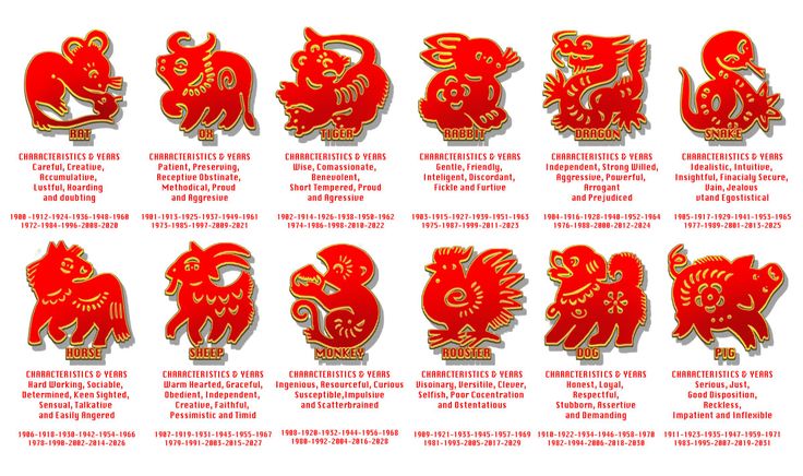 Chinese New Year Animals Characteristics Years Chinese New Year