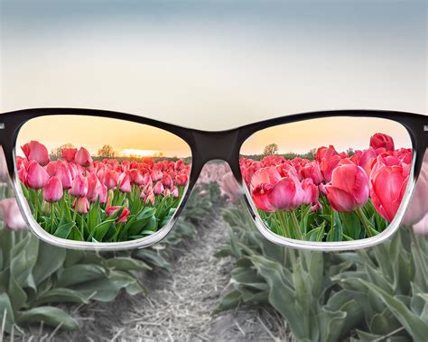 Color Blindness Explained Color Blind Color Vision Color Blind Glasses