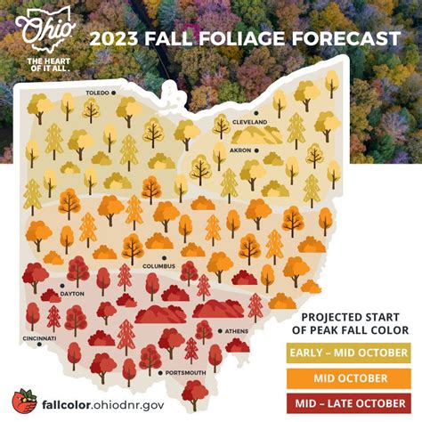 Complete 2023 Ohio Fall Colors Map Peak Prediction Guide