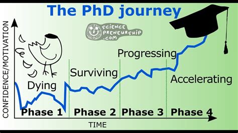 Create 8 Expert Strategies For Your Online Phd Journey Now