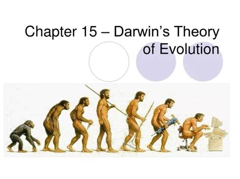 Darwin Amp 39 S Theory Of Evolution Diagram